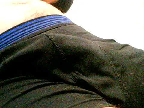 homviril42 online show from December 2024 08:04:02 PM