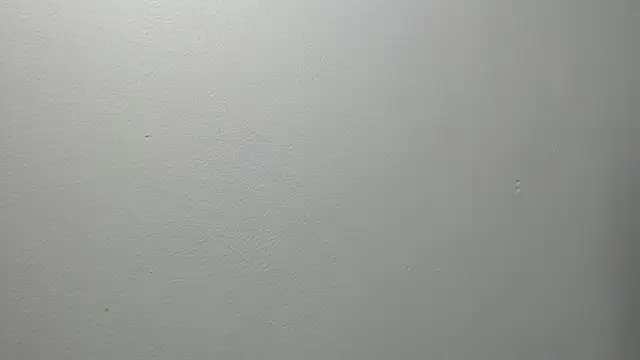 Snapshot of sussy_leon chatting on February 2025 12:34:01 PM sussy leon online show from February 2025 12:34:01 PM