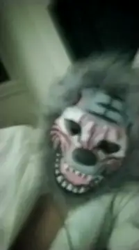 zebrawyzeb online show from December 2024 05:54:02 PM