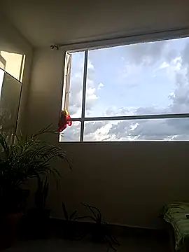 Dangerouspassion777 online show from September 2025 10:04:02 PM