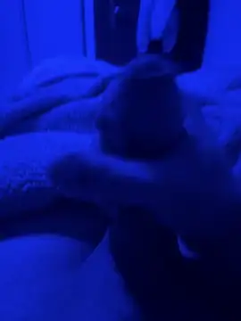 paolone79037 online show from April 2026 09:05:01 PM