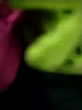 heartless  95 online show from March 2025 06:03:02 AM