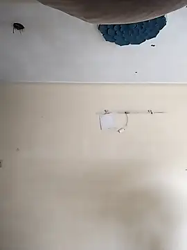 heartless  95 online show from October 2025 03:29:02 AM