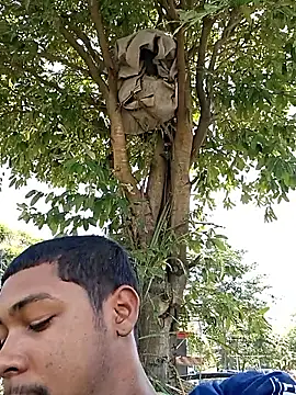 Pr3To021 online show from September 2025 02:40:01 PM