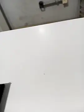 Snapshot of lobomisterioso13 chatting on December 2024 07:48:01 AM lobomisterioso13 online show from December 2024 07:48:01 AM