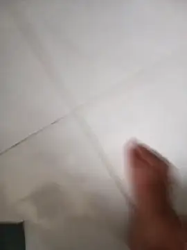 lobomisterioso13 online show from February 2026 12:09:02 PM