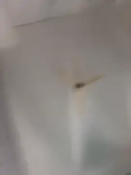 playboy 30 online show from November 2025 09:04:01 AM