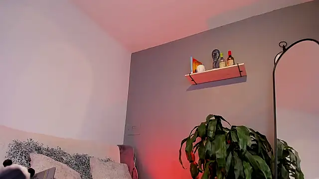 jaxon colton online show from January 2025 03:39:02 PM