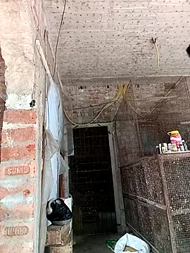 Snapshot of NICK_IN chatting on February 2025 07:33:02 AM NICK IN online show from February 2025 07:33:02 AM