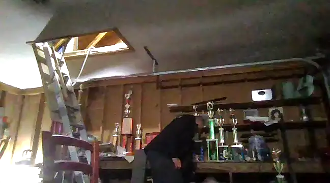 Buffshagswell online show from March 2025 03:57:02 AM