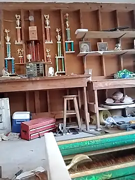 Buffshagswell online show from March 2025 03:12:02 PM