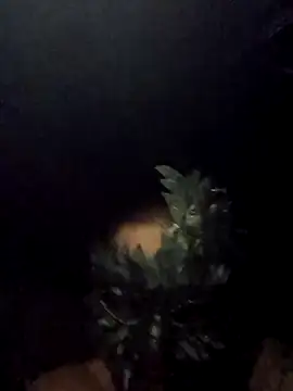 Buffshagswell online show from September 2025 05:29:01 AM