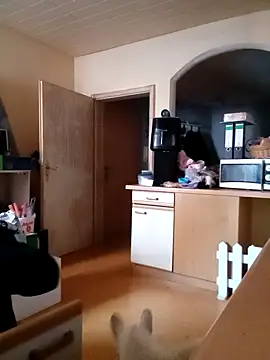 Snapshot of Wishes813 chatting on February 2026 02:04:02 PM Wishes813 online show from February 2026 02:04:02 PM