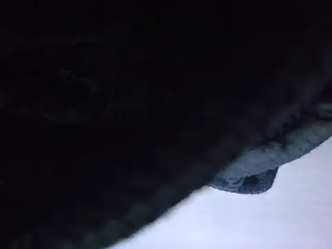 Snapshot of exmilitary chatting on February 2026 12:58:02 PM exmilitary online show from February 2026 12:58:02 PM