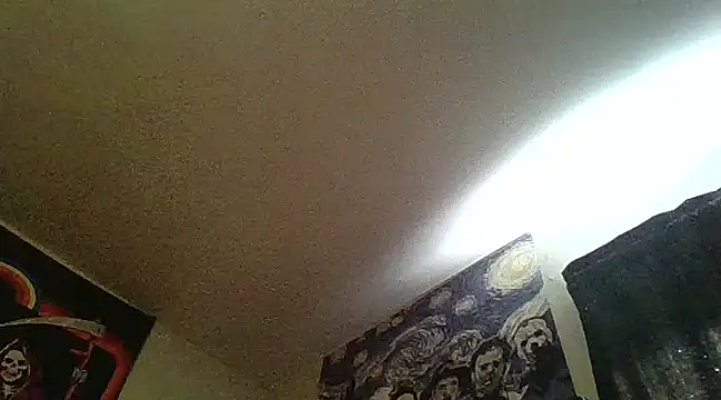 Snapshot of clitstitsandbongrips chatting on February 2025 09:17:01 PM clitstitsandbongrips online show from February 2025 09:17:01 PM