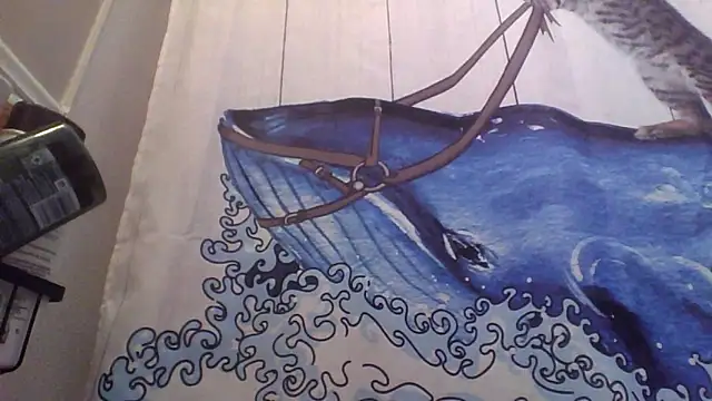 Snapshot of clitstitsandbongrips chatting on September 2025 06:03:01 AM clitstitsandbongrips online show from September 2025 06:03:01 AM