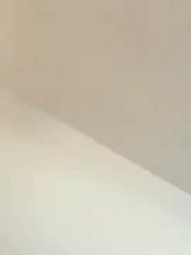 TransboyJay online show from February 2026 05:31:01 PM