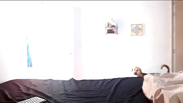 cherrydelioncourt online show from April 2026 05:13:02 PM