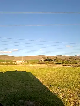 MIGHTY MAGNUM online show from February 2025 05:08:01 PM