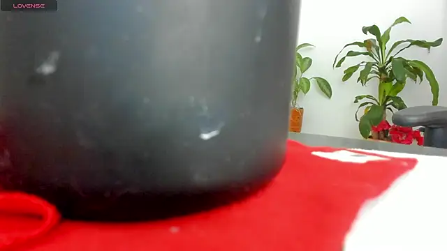 Snapshot of Michel_Jones chatting on March 2025 12:11:02 AM Michel Jones online show from March 2025 12:11:02 AM