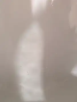 SensualG300 online show from February 2026 10:38:02 PM