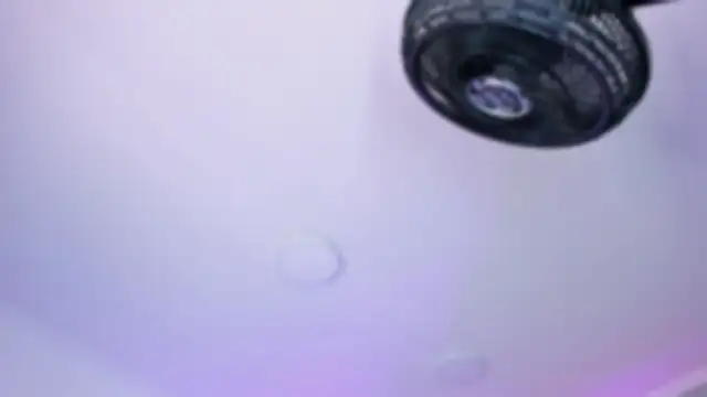 AmberiniHoffman online show from October 2025 12:11:01 PM