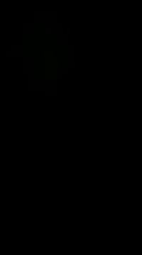 Snapshot of pelarrico12 chatting on January 2025 05:01:01 AM pelarrico12 online show from January 2025 05:01:01 AM
