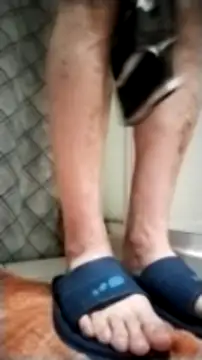 Francobresilien online show from December 2024 03:38:02 AM