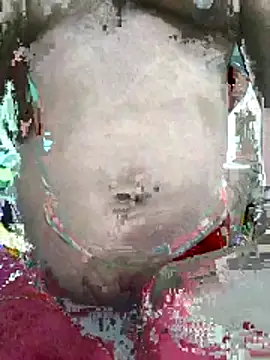 ShelfyOfferer online show from May 2026 03:04:02 AM