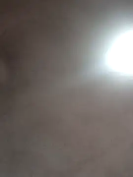  violetta - online show from October 2025 01:01:01 PM