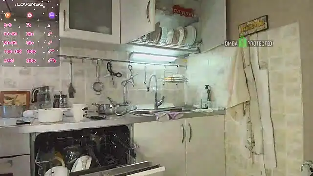 MilfeaN online show from February 2025 06:33:01 AM