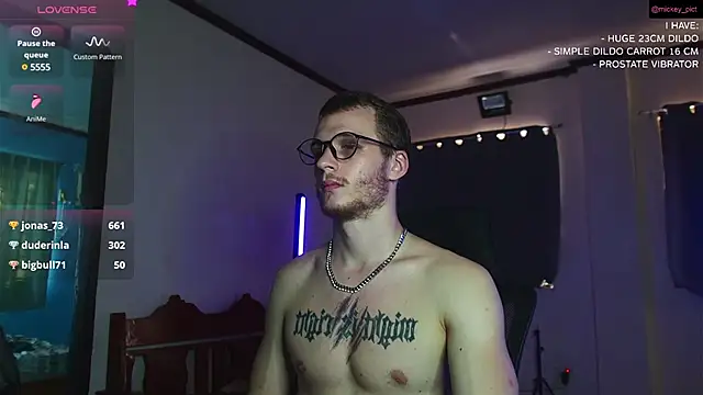 Snapshot of mickeypict chatting on December 2024 06:21:01 AM mickeypict online show from December 2024 06:21:01 AM