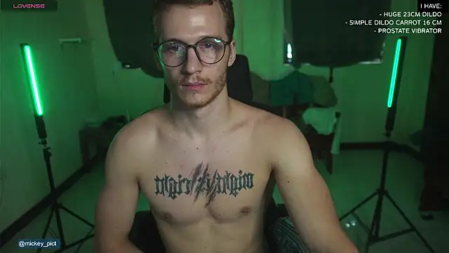 Snapshot of mickeypict chatting on December 2024 07:00:02 AM mickeypict online show from December 2024 07:00:02 AM