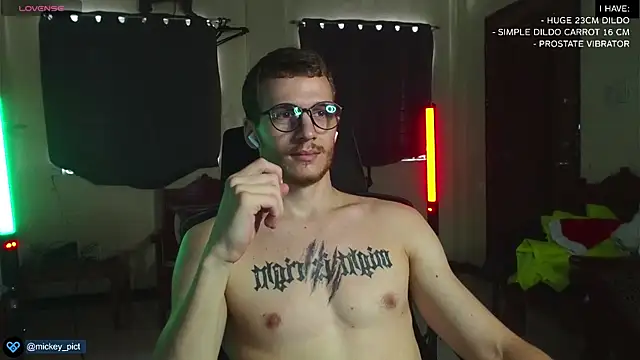 Snapshot of mickeypict chatting on December 2024 05:26:02 AM mickeypict online show from December 2024 05:26:02 AM