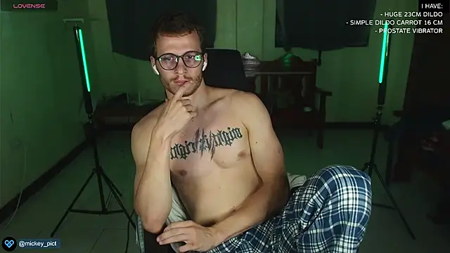 Snapshot of mickeypict chatting on December 2024 09:34:02 AM mickeypict online show from December 2024 09:34:02 AM