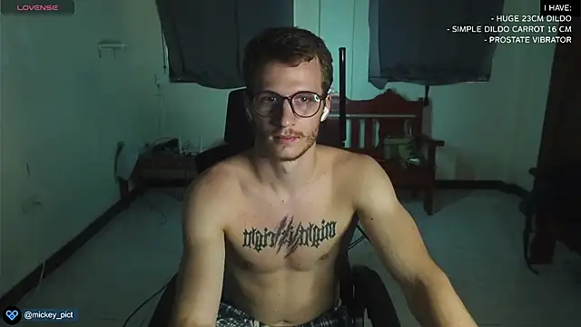 Snapshot of mickeypict chatting on December 2024 08:58:02 AM mickeypict online show from December 2024 08:58:02 AM