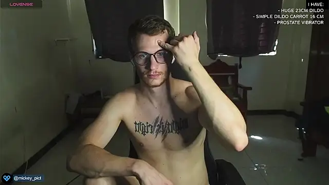 Snapshot of mickeypict chatting on December 2024 06:03:02 AM mickeypict online show from December 2024 06:03:02 AM