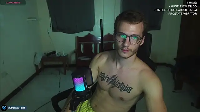 Snapshot of mickeypict chatting on December 2024 01:36:02 PM mickeypict online show from December 2024 01:36:02 PM