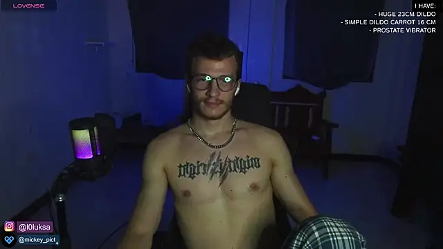 Snapshot of mickeypict chatting on January 2025 01:15:01 PM mickeypict online show from January 2025 01:15:01 PM