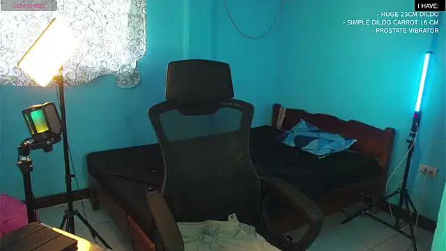 Snapshot of mickeypict chatting on February 2025 03:47:02 AM mickeypict online show from February 2025 03:47:02 AM