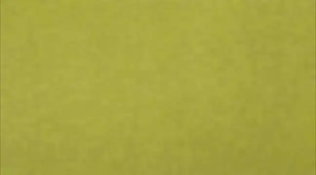 Snapshot of AnneGagner chatting on March 2025 06:32:01 PM AnneGagner online show from March 2025 06:32:01 PM