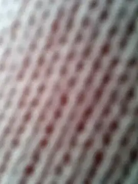 Snapshot of Gardener_of_Illusions chatting on October 2025 10:27:01 AM Gardener of Illusions online show from October 2025 10:27:01 AM