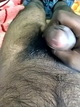 jellydicks online show from November 2025 11:52:02 AM