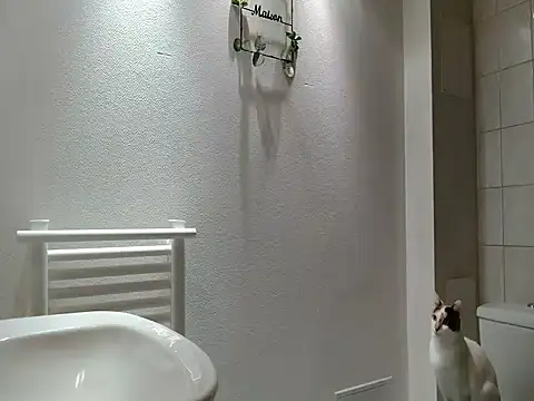 Snapshot of Lauzo21 chatting on March 2026 06:29:01 AM Lauzo21 online show from March 2026 06:29:01 AM