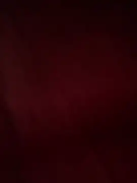 Snapshot of tripexnte chatting on February 2025 07:45:02 AM tripexnte online show from February 2025 07:45:02 AM