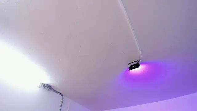 Amy Kiitty  online show from February 2026 12:58:02 PM