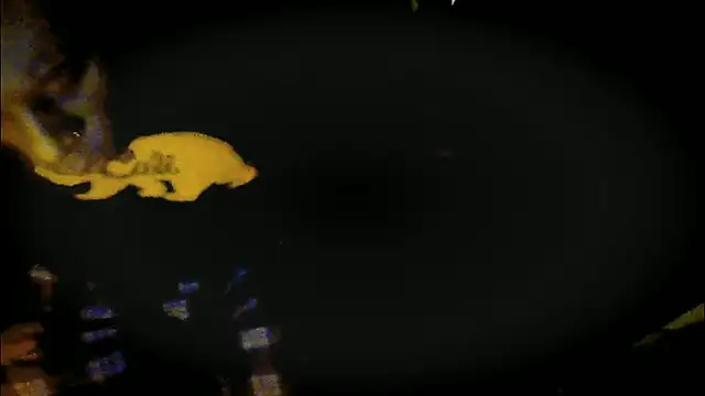 Pressure69mee online show from March 2025 09:24:01 PM