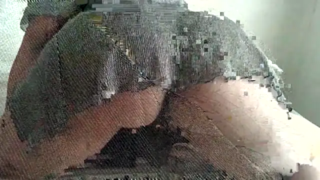 Bobscat11 online show from May 2026 06:30:02 AM