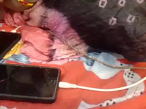 Snapshot of naina-80 chatting on January 2025 07:43:02 AM naina-80 online show from January 2025 07:43:02 AM