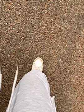 Black mamba madingo online show from December 2024 10:33:02 AM